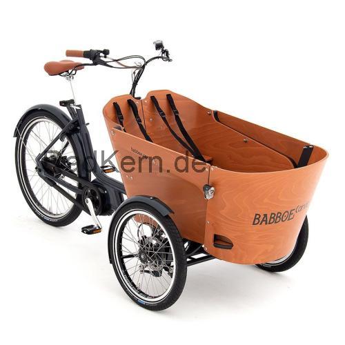 Babboe Carve Mountain  technische daten 